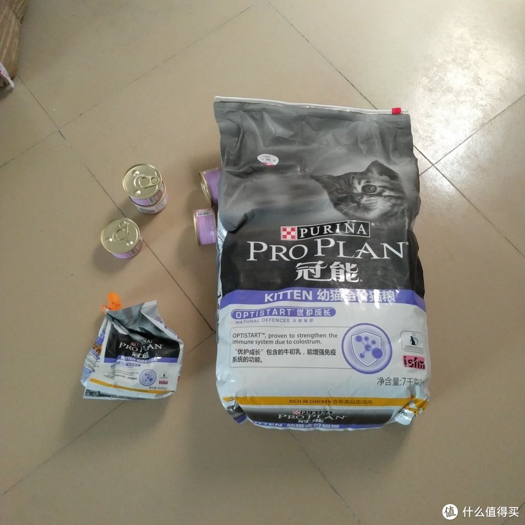 养猫系列之二：猫咪用品的选择