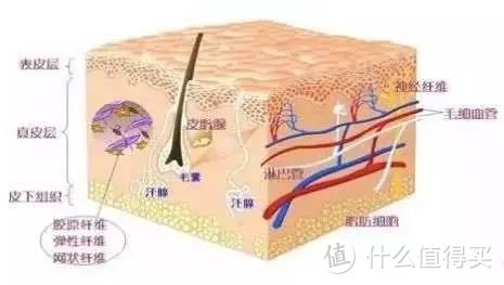 脸上有红血丝咋办？是不是没救了