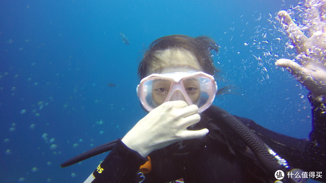 难忘的旅行 巴厘岛八丹拜人生第一次潜水和老公偷偷准备的水下求婚