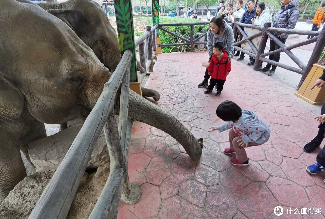 互动性强，上海野生动物园浏览攻略