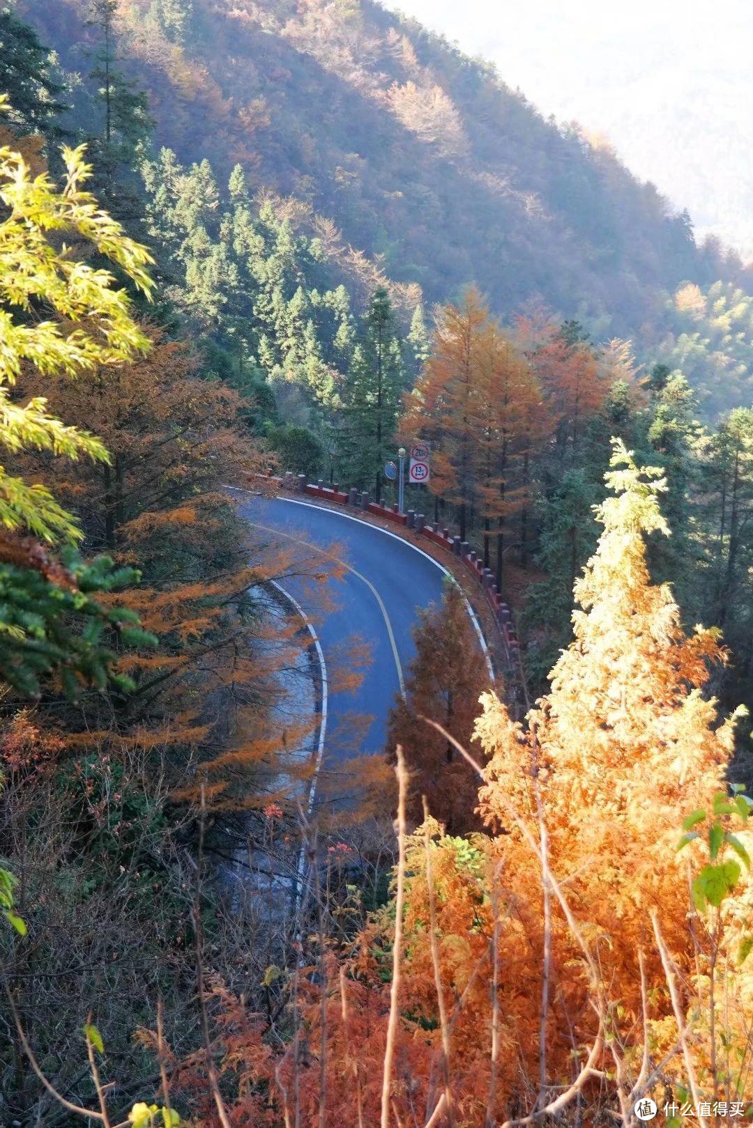 九华山二日游，佛教四大名山之一，地藏菩萨道场