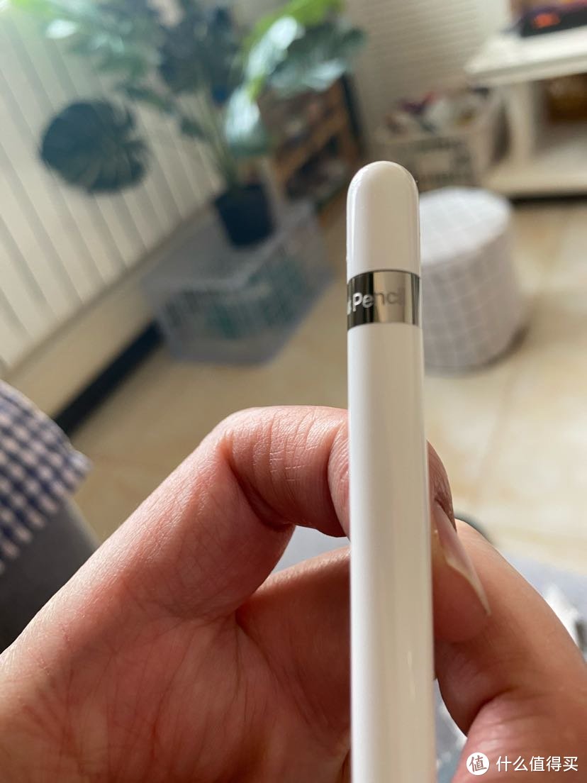 苹果败家 篇三 Apple pencil 一代