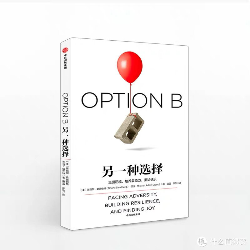 OPTION B：Facing Adversity, Building Resilience, and Finding Joy