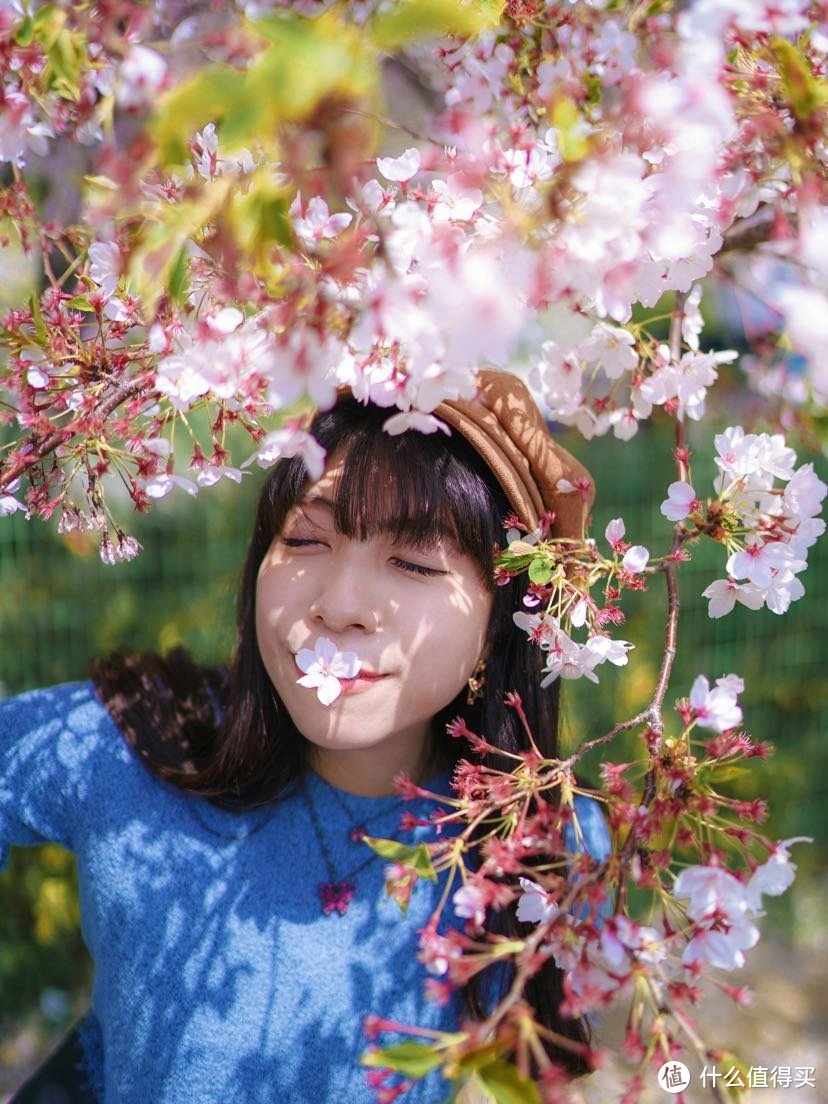 春天就要看樱花呀🌸釜山镇海樱花大赏