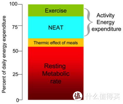 比起运动减肥，这种方法更易坚持更能消耗，每个人都做到