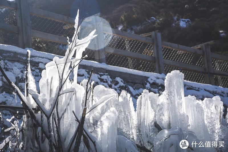 蜀味成都｜一座来了就不想走的城市