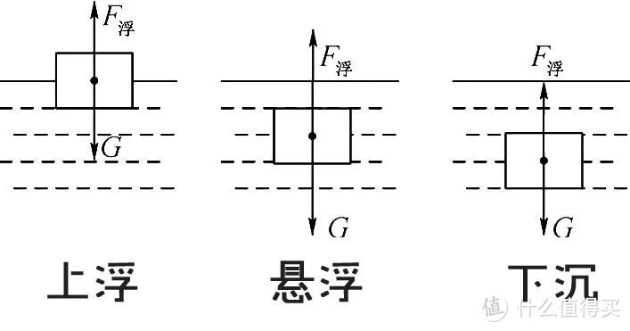 潜水员如何成就顶尖中性