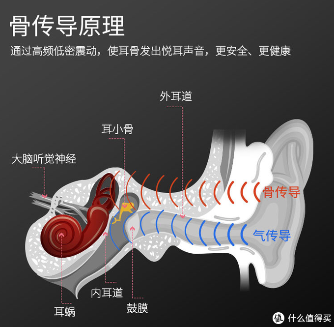 换个方式听音乐——飞利浦TAN6605骨传导耳机开箱评测