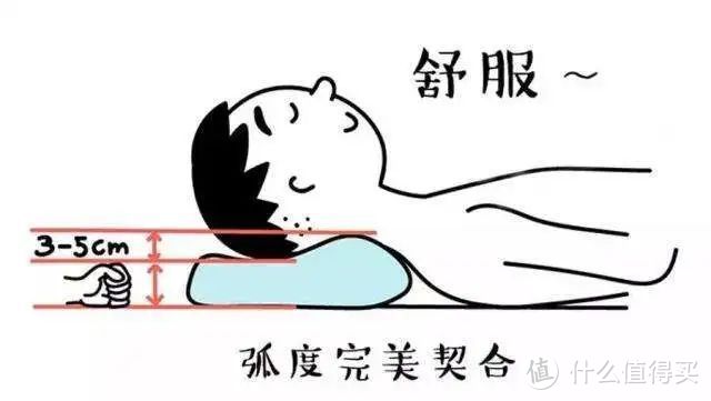 从几百到几千：乳胶、羽绒、记忆棉、零度有机棉到底有啥不同？颈椎枕是不是智商税？弹性大真的是坑吗？