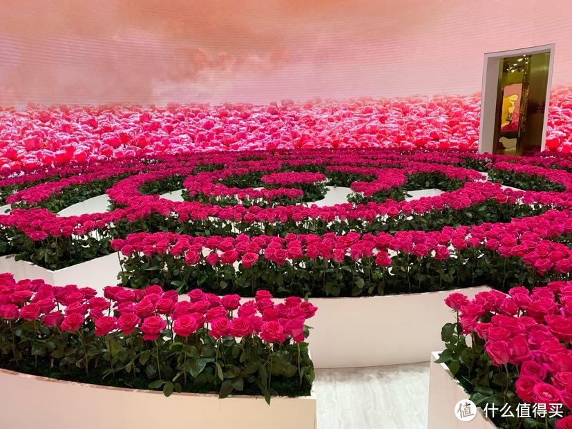 Lancôme的菁纯玫瑰展