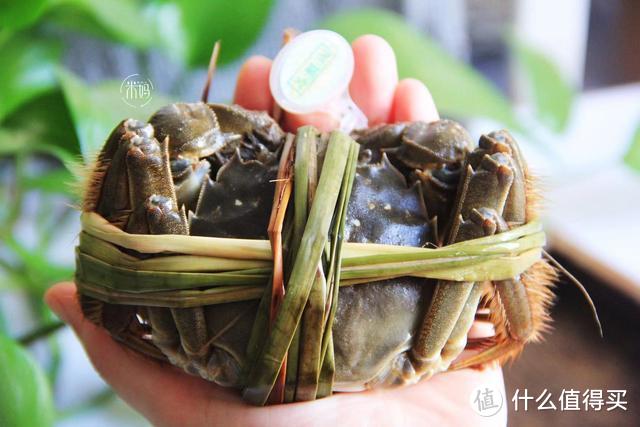 大闸蟹的正确吃法，简单几步让你把蟹吃精光，不浪费