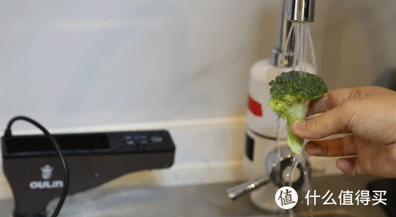 欧琳净化机让水变个小魔术：去农残，净餐具，还能阻击细菌侵入口！