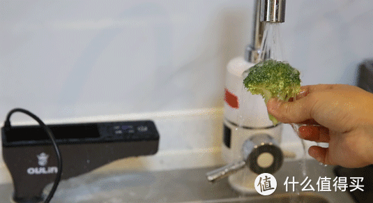 欧琳净化机让水变个小魔术：去农残，净餐具，还能阻击细菌侵入口！