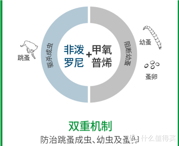 新手养猫指南——养猫一年我花了多少钱？看完我震惊了