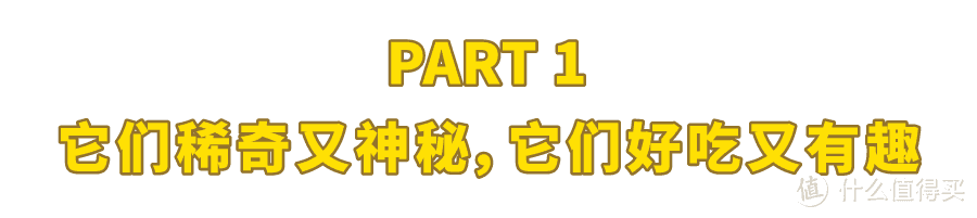 我淘到的这22种新奇水果，你不可能全吃过