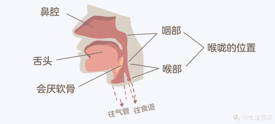 女生体态气质的头号杀手