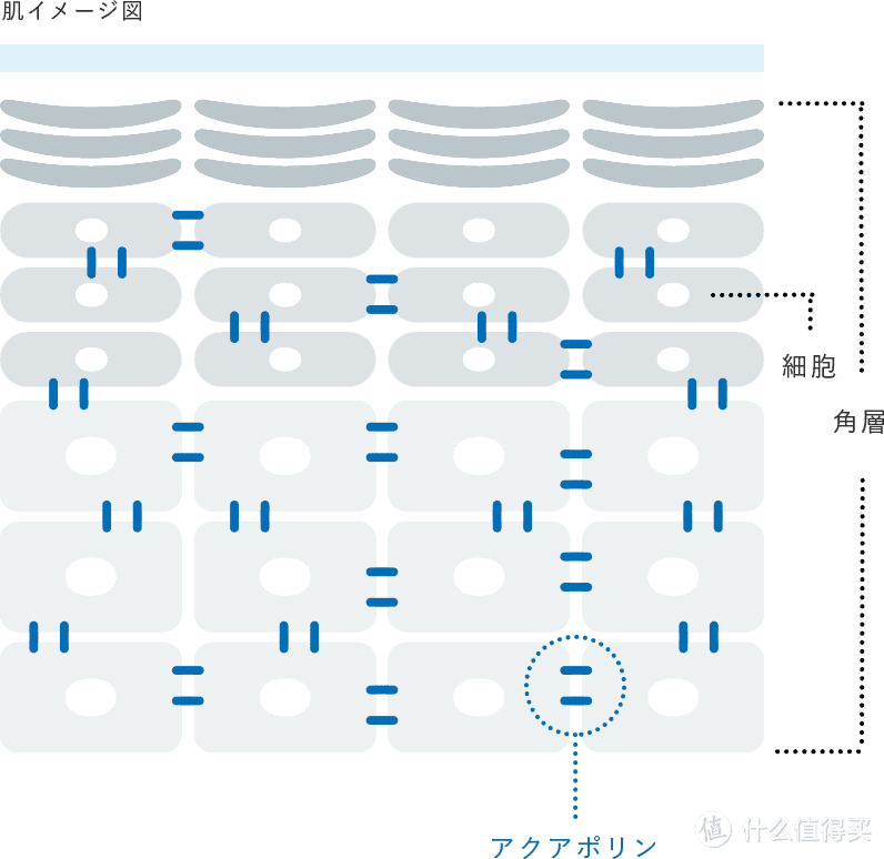 用烦了Curél？敏感肌又有新选择！日本品牌DERIZUM ADVANCED全新上市