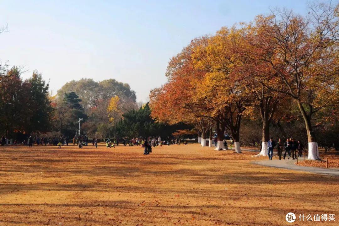 一文带你游遍南京 上篇：泊秦淮，游钟山