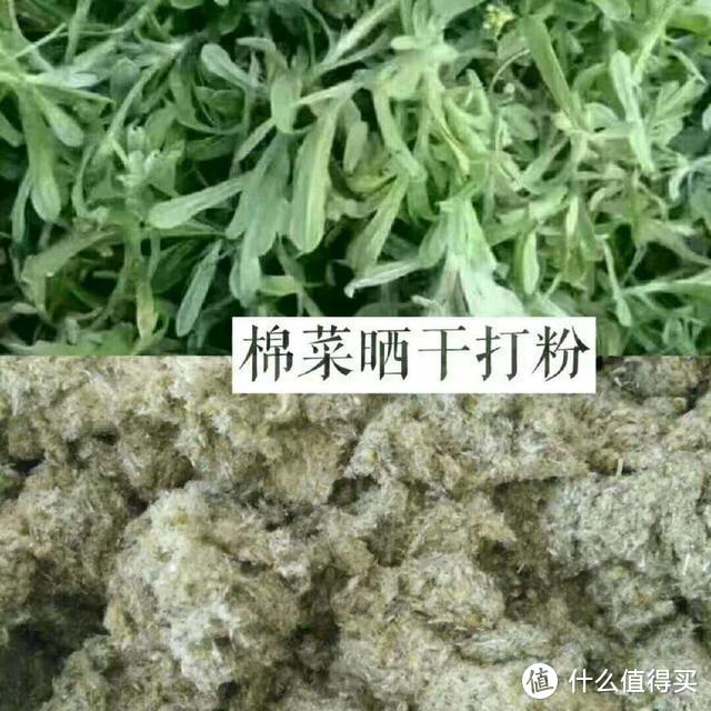 这种野菜做的青团糕点，做好一下子可以吃4-5个