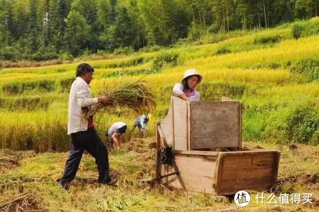 疫情结束后，是时候来一个说走就走的旅行了