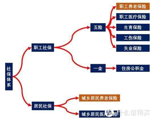 听说你不想交养老金？别！听我说！