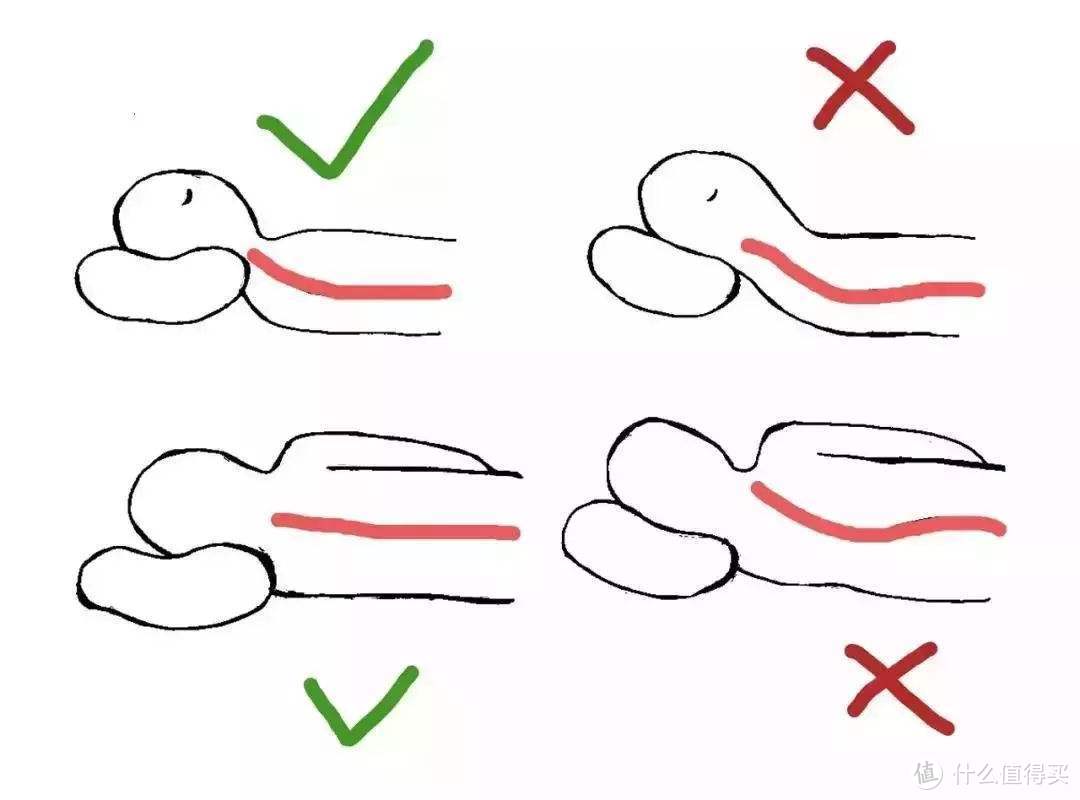 睡眠日到了！8000字的寝具开发者10条枕头选购建议