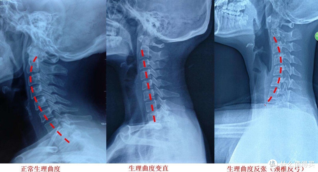 睡眠日到了！8000字的寝具开发者10条枕头选购建议