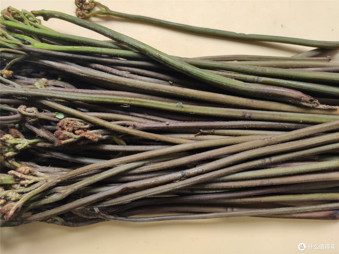 最好用清水泡上小半天,科学的说,蕨菜中有一定的致癌成分原蕨苷,不过