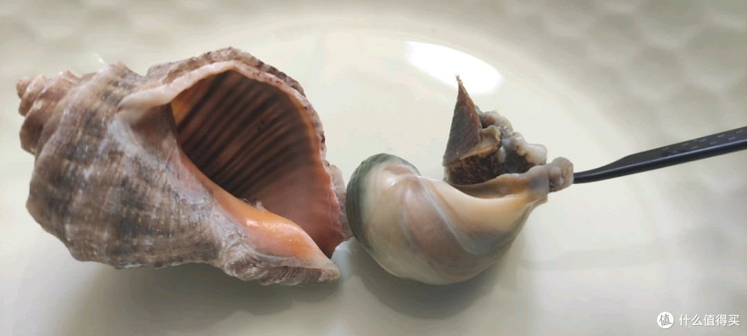 试一试19块钱一斤的红里螺怎么样做菜就是大男孩的快乐