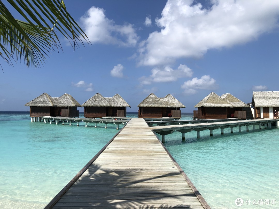 马尔代夫蜜月游-坎多卢岛Kandolhu Island 和海龟先生一起游