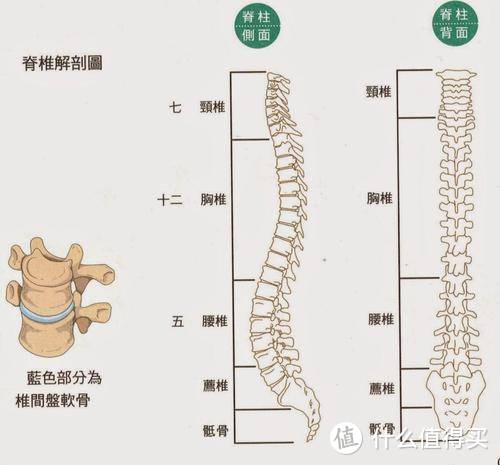 一天24小时，我最想要安睡的8小时：一个夜猫子的自我修养