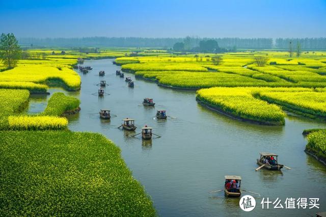 人民网点赞，距南京不到3h，中国最美水上油菜花田，终于藏不住了