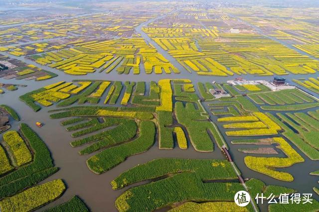 人民网点赞，距南京不到3h，中国最美水上油菜花田，终于藏不住了