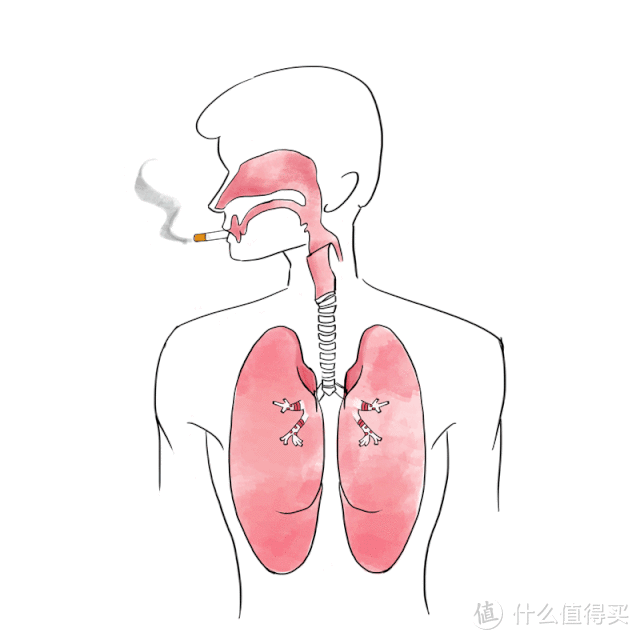 中国人的肺为什么那么脆弱？