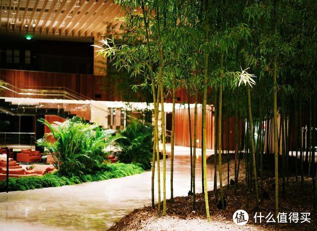 北京望京凯悦酒店，用竹林勾勒出都市里的隐逸之气