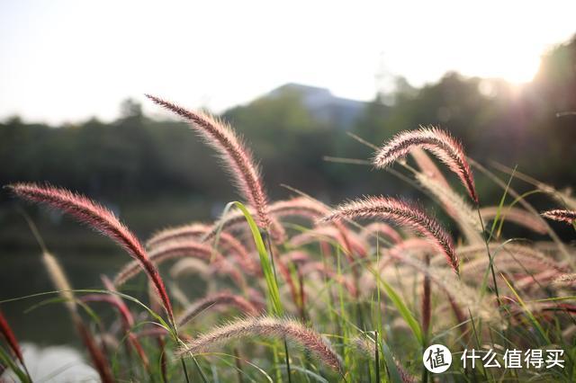 明基E520好在哪里？我对它的基础使用篇