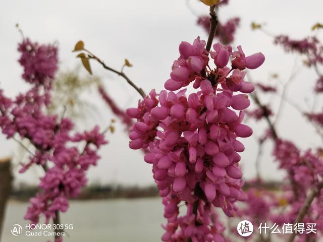 荣耀30S是不是中端真香机，麒麟820性能如何，看这篇文章就够了