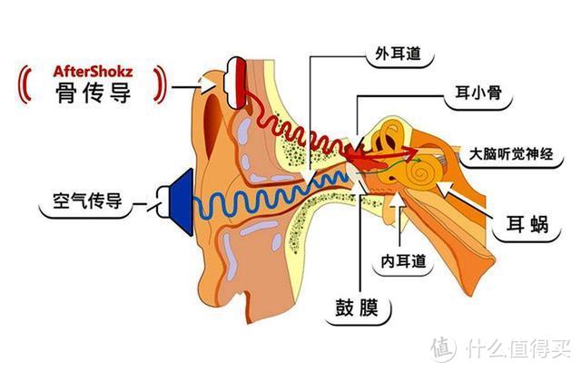 韶音AS800 骨传导黑科技 让运动更畅快