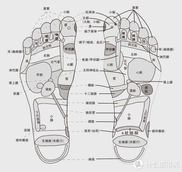 在家就要做马杀鸡之easewell一维生活猫头鹰气压按摩脚机测评