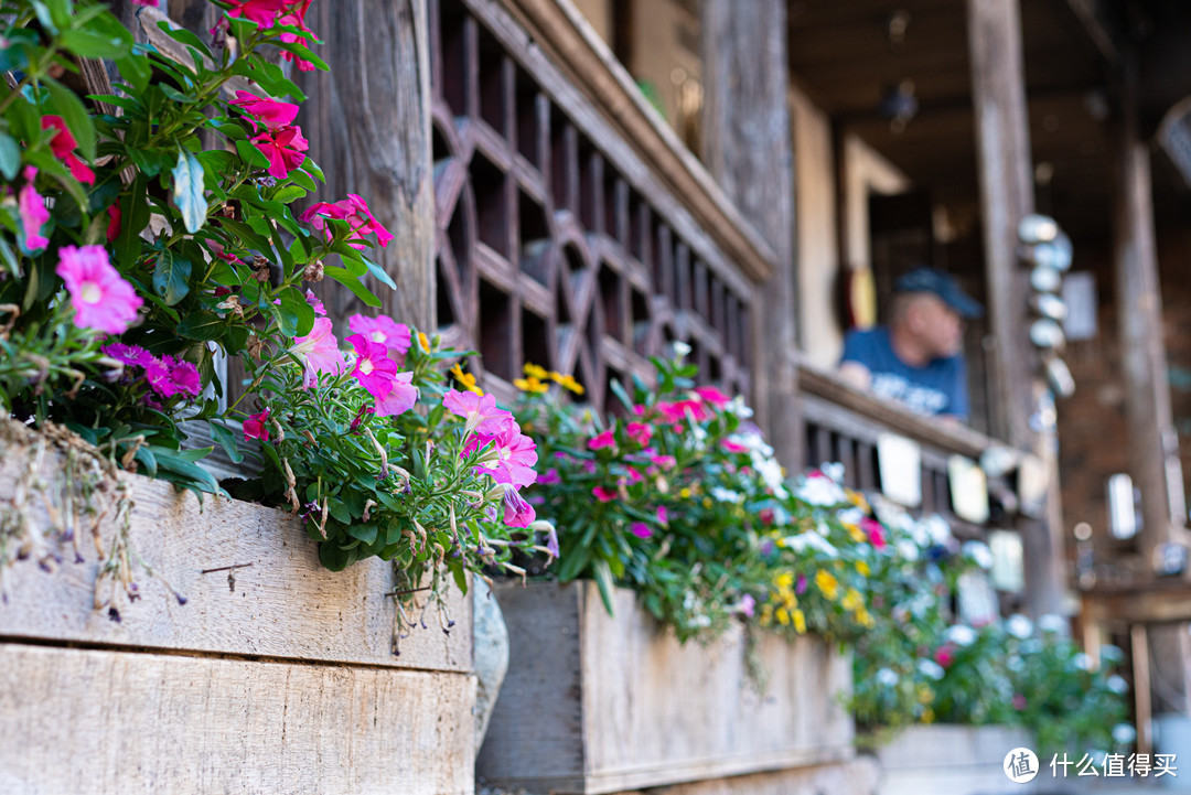 适马（SIGMA）ART 70mm F2.8 DG MACRO 微距镜