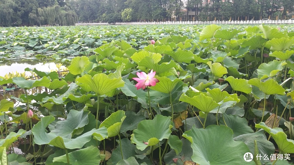 这些年走过的城市与山水——抚仙湖、昆明篇