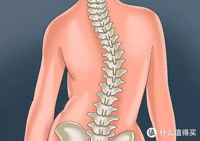 都说睡硬床垫好，你知不知道什么样的硬床垫才是真的好？