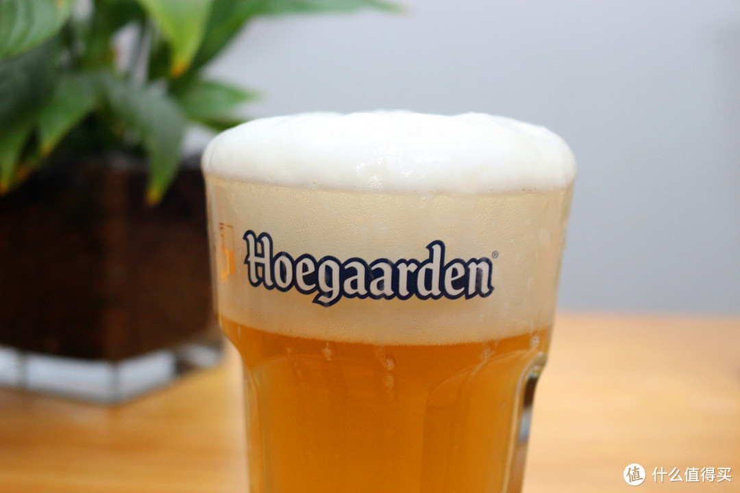 读音拗口，口感极佳—Hoegaarden 福佳精酿啤酒