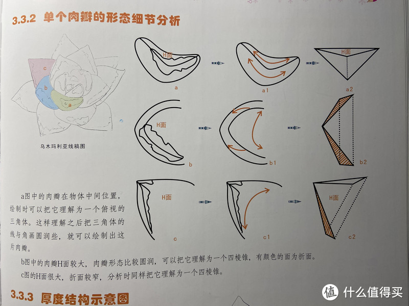 画面分析