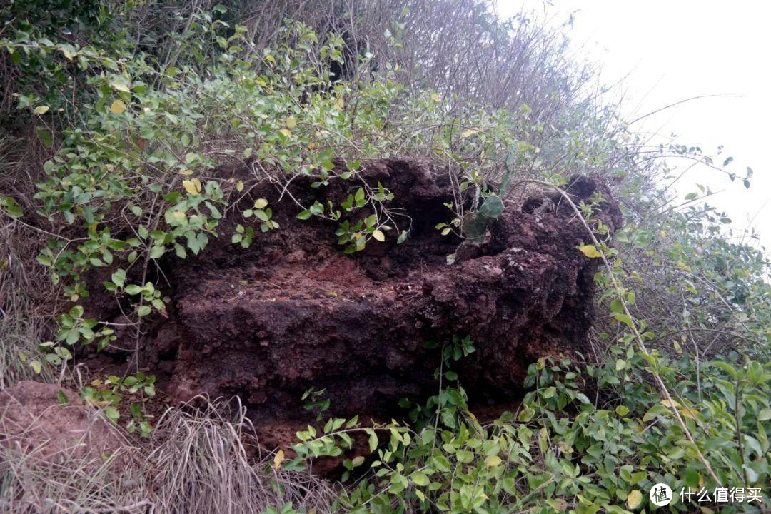 广西北海有哪些值得一转的地方？你见过火山景观吗？