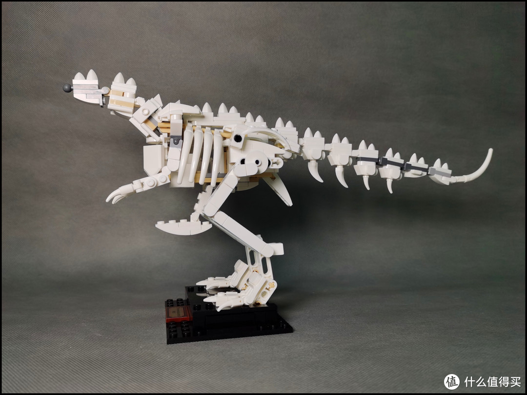 无标积木3026(恐龙化石)