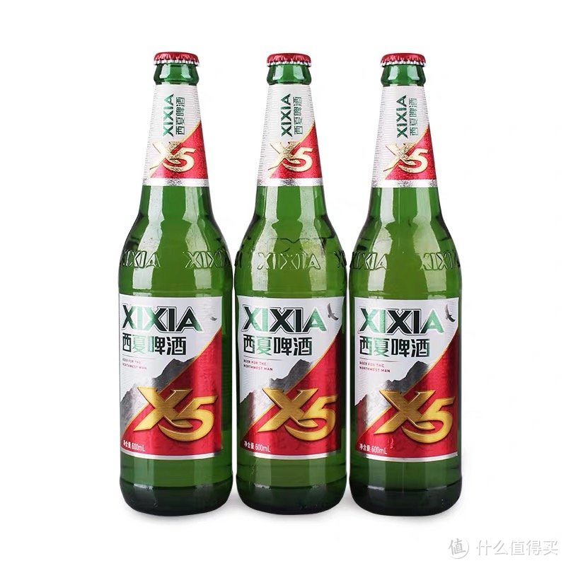 西夏啤酒X5