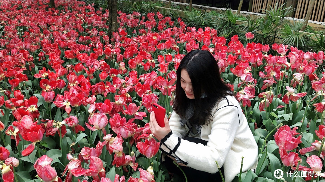 等闲识得东风面，万紫千红总是春——2020年首次踏青之“国际慢城太寺娅森林公园”