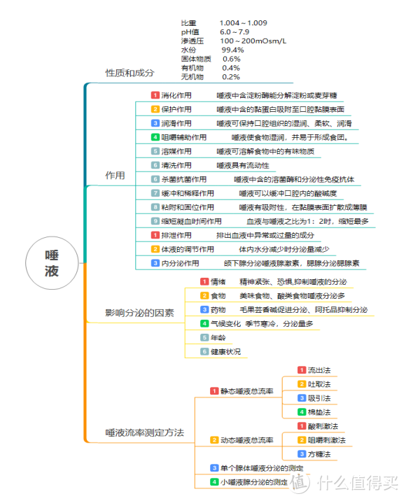 思维导图：唾液