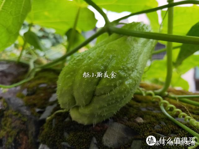 4月多吃这菜，简单一拌，比肉还好吃